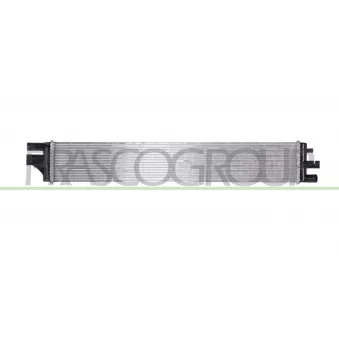 Radiateur, refroidissement du moteur PRASCO OP954R001