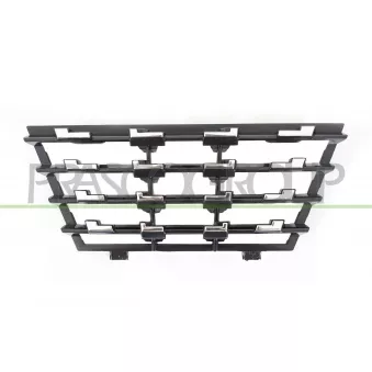 Grille de radiateur PRASCO PG3301225