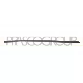 Baguette et bande protectrice, porte avant droit PRASCO SK3201413