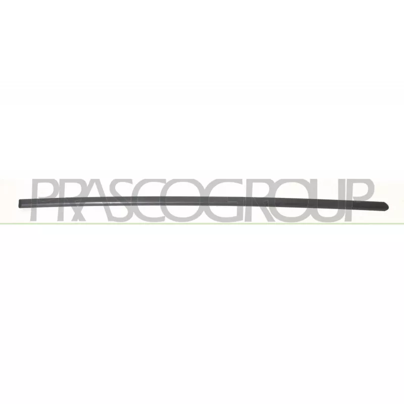 Baguette et bande protectrice, porte avant droit PRASCO SK3201413