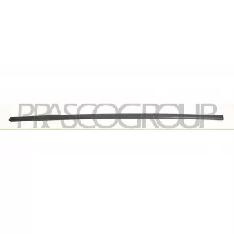 Baguette et bande protectrice, porte avant gauche PRASCO SK3201414