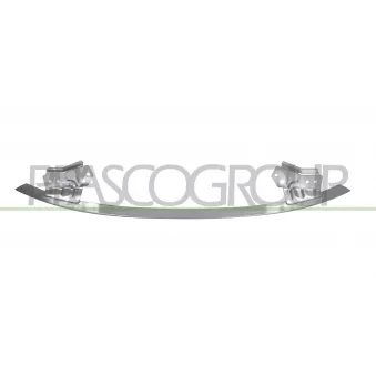 Support, pare-chocs PRASCO TS3001632