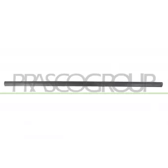 Baguette et bande protectrice, porte avant droit PRASCO VG0211403