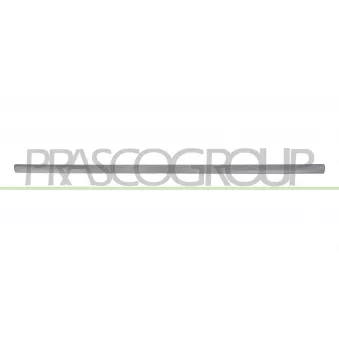 Baguette et bande protectrice, porte avant droit PRASCO VG0211413