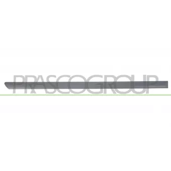 Baguette et bande protectrice, porte arrière droit PRASCO VG0211463