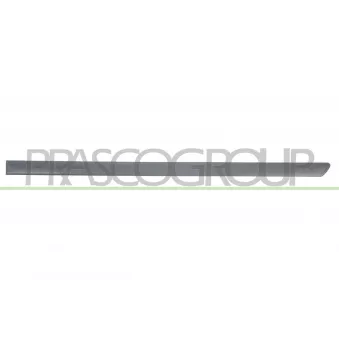 Baguette et bande protectrice, porte arrière gauche PRASCO VG0211464