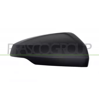 Revêtement, rétroviseur extérieur PRASCO VG0257403