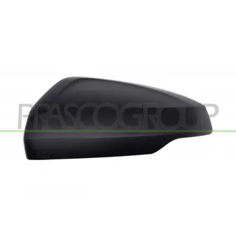 Revêtement, rétroviseur extérieur PRASCO VG0257404