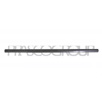 Baguette et bande protectrice, porte avant droit PRASCO VG0521413