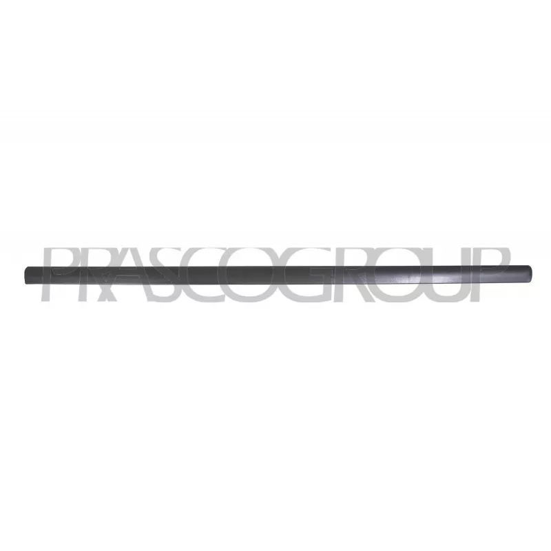 Baguette et bande protectrice, porte avant droit PRASCO VG0521413