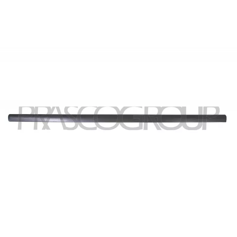 Baguette et bande protectrice, porte avant gauche PRASCO VG0521414