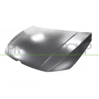 Capot-moteur PRASCO VG4103100