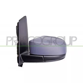 Rétroviseur extérieur PRASCO VG9077334