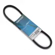 Courroie trapézoïdale DAYCO 10A0750C - Visuel 1