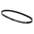 Courroie trapézoïdale à nervures DAYCO 4PK745 - Visuel 2