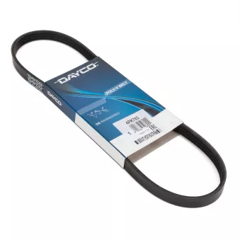 Courroie trapézoïdale à nervures DAYCO 4PK763
