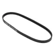 Courroie trapézoïdale à nervures DAYCO 4PK763 - Visuel 2