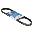 Courroie trapézoïdale à nervures DAYCO 4PK841 - Visuel 1