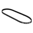Courroie trapézoïdale à nervures DAYCO 4PK903EE - Visuel 2