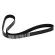 Courroie trapézoïdale à nervures DAYCO 5PK1030 - Visuel 2