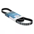 Courroie trapézoïdale à nervures DAYCO 5PK1140 - Visuel 1