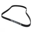 Courroie trapézoïdale à nervures DAYCO 5PK1140 - Visuel 2