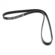 Courroie trapézoïdale à nervures DAYCO 5PK1150S - Visuel 2