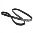 Courroie trapézoïdale à nervures DAYCO 5PK1435 - Visuel 2