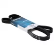 Courroie trapézoïdale à nervures DAYCO 5PK2060 - Visuel 1