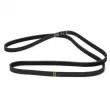 Courroie trapézoïdale à nervures DAYCO 5PK2060 - Visuel 2