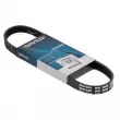 Courroie trapézoïdale à nervures DAYCO 5PK690EE - Visuel 1