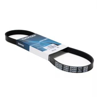 Courroie trapézoïdale à nervures DAYCO 5PK800