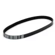 Courroie trapézoïdale à nervures DAYCO 5PK800 - Visuel 2