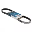 Courroie trapézoïdale à nervures DAYCO 5PK835 - Visuel 1
