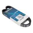 Courroie trapézoïdale à nervures DAYCO 5PK975 - Visuel 1