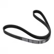 Courroie trapézoïdale à nervures DAYCO 5PK975 - Visuel 2