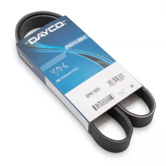 Courroie trapézoïdale à nervures DAYCO 6PK1005