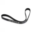 Courroie trapézoïdale à nervures DAYCO 6PK1005 - Visuel 2