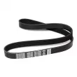 Courroie trapézoïdale à nervures DAYCO 6PK1020K - Visuel 2