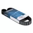 Courroie trapézoïdale à nervures DAYCO 6PK1050 - Visuel 1