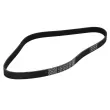 Courroie trapézoïdale à nervures DAYCO 6PK1050 - Visuel 2