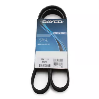 Courroie trapézoïdale à nervures DAYCO 6PK1125