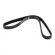 Courroie trapézoïdale à nervures DAYCO 6PK1155 - Visuel 2