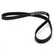 Courroie trapézoïdale à nervures DAYCO 6PK1180 - Visuel 2