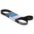 Courroie trapézoïdale à nervures DAYCO 6PK1613 - Visuel 1