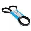 Courroie trapézoïdale à nervures DAYCO 6PK1710 - Visuel 1