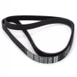 Courroie trapézoïdale à nervures DAYCO 6PK1733 - Visuel 2