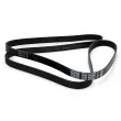 Courroie trapézoïdale à nervures DAYCO 6PK2000 - Visuel 2