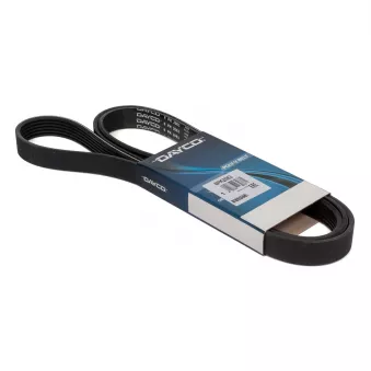 Courroie trapézoïdale à nervures DAYCO 6PK2063