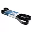 Courroie trapézoïdale à nervures DAYCO 6PK2090 - Visuel 1